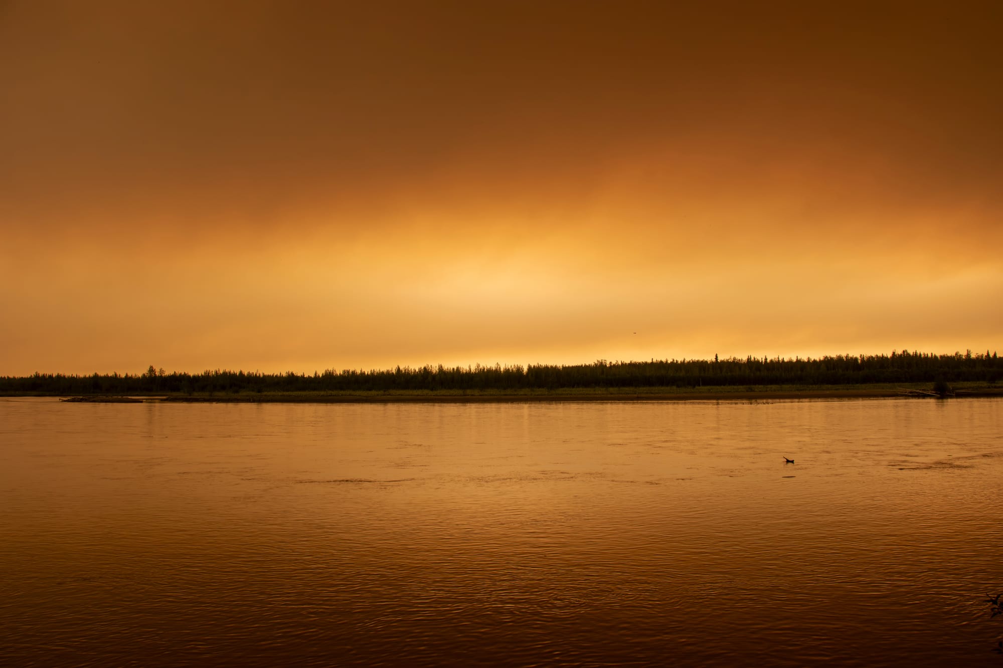 A wide landscape shot of orange sky and water separated by a thin strip of dark forest. 