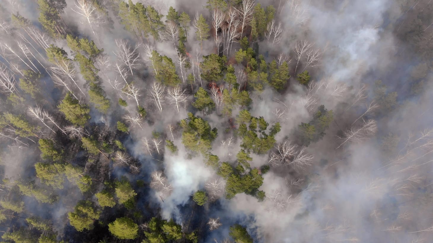 It's an aerial overhead photo of a very smoky Alaska forest fire.