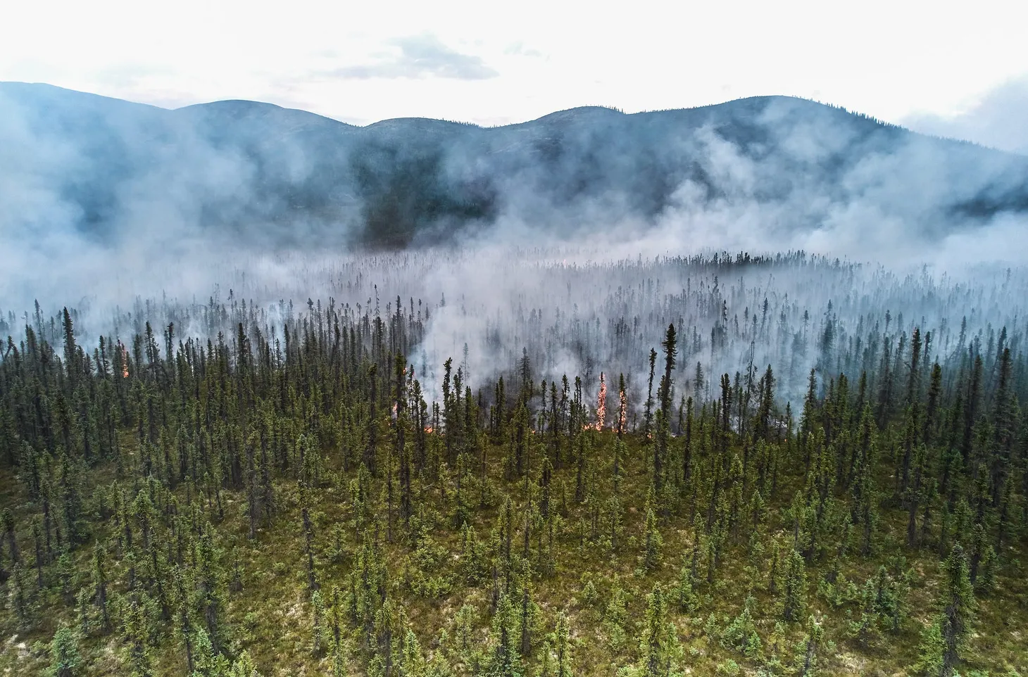 AKLEG Day 105: 'This difficult interaction'
