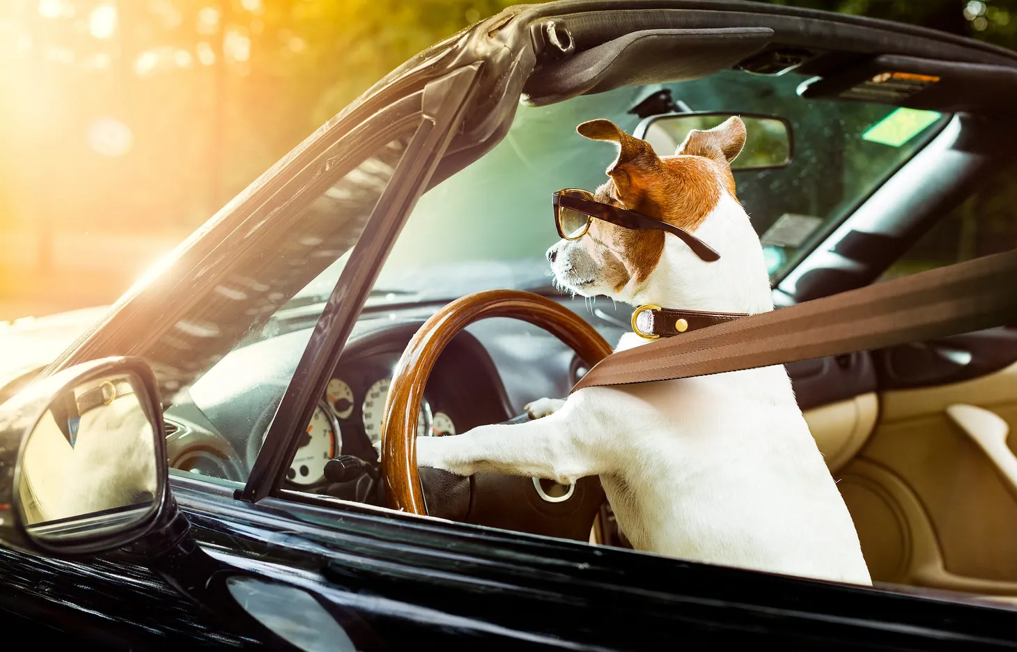 AKLEG Day 73: 'Catch the car'