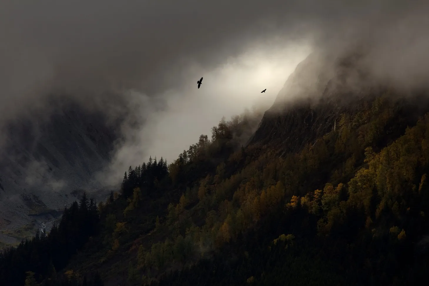 AKLEG Day 114: 'Cover-yourself behavior'