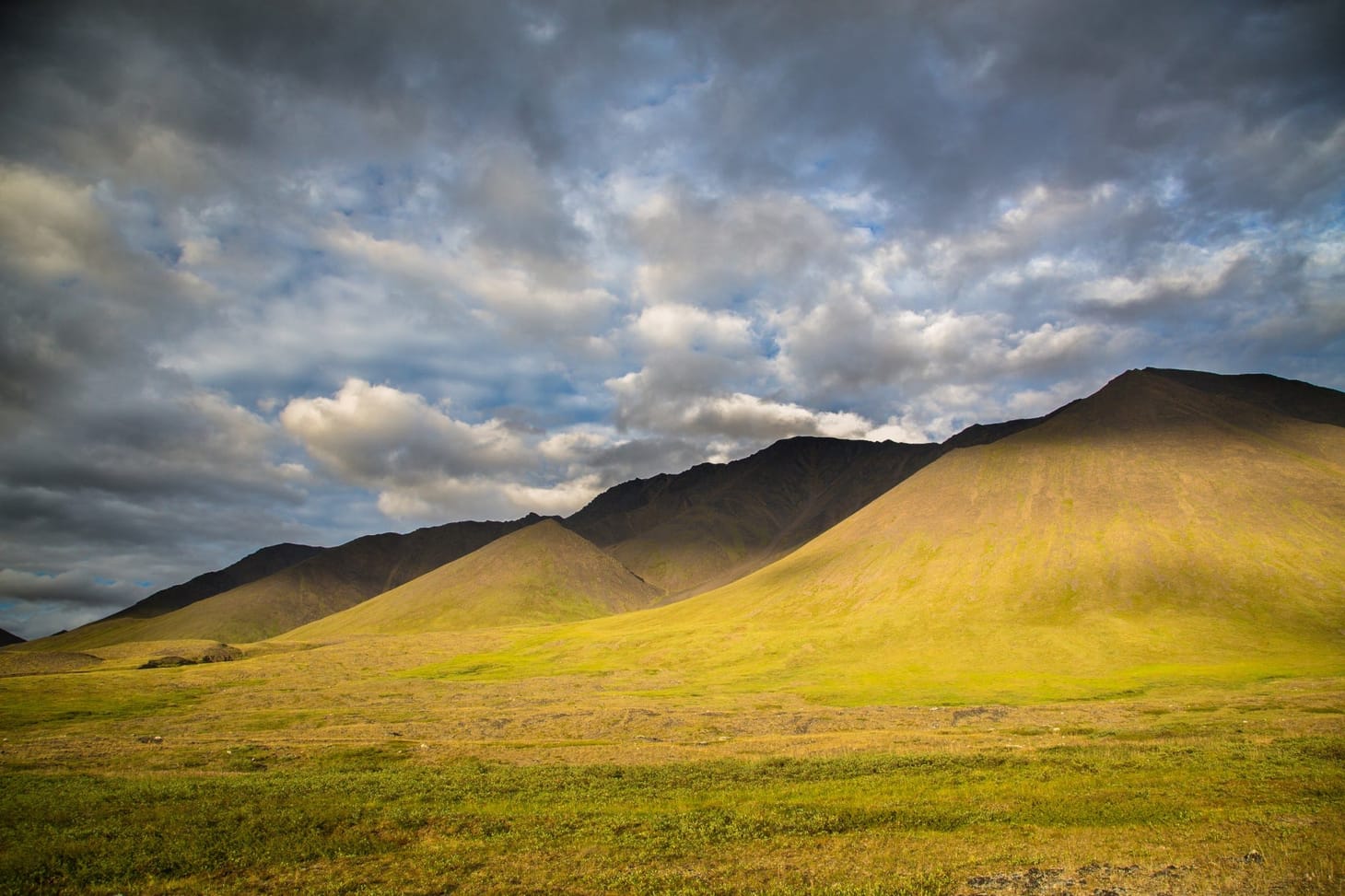 AKLEG Day 116: 'A major waste'