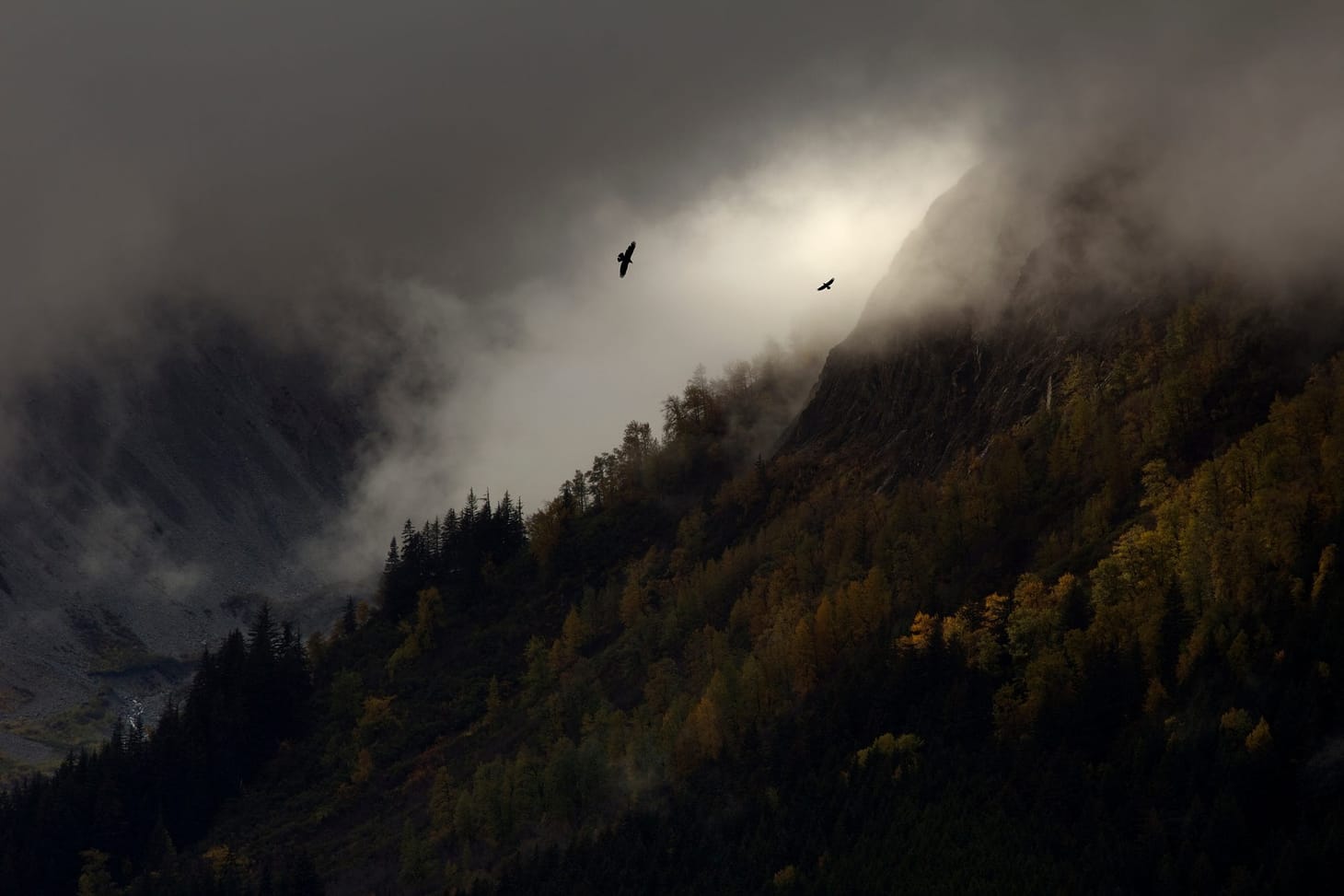 AKLEG Day 114: 'Cover-yourself behavior'